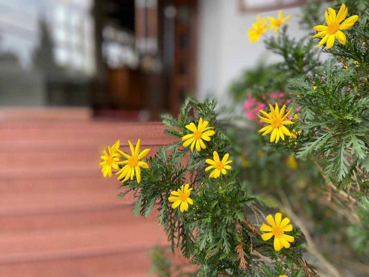 Duy Thao 2 Hotel Dalat Luaran gambar